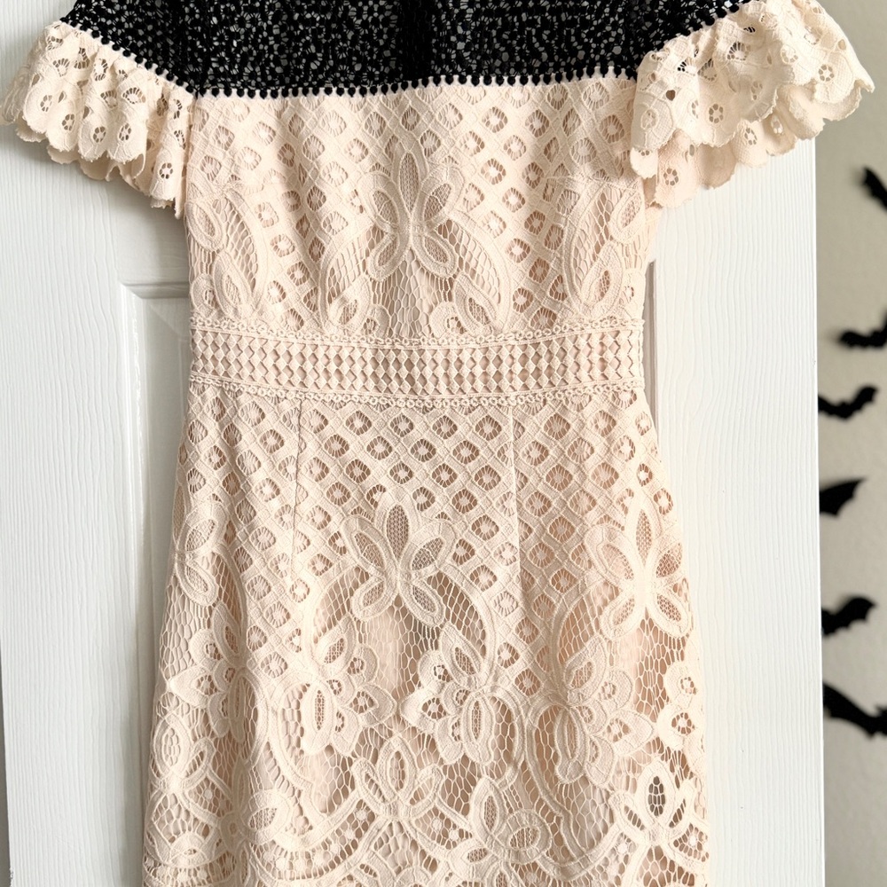 Club Monaco Size 0 Cotton Lace Beige and Black Cocktail Dress
